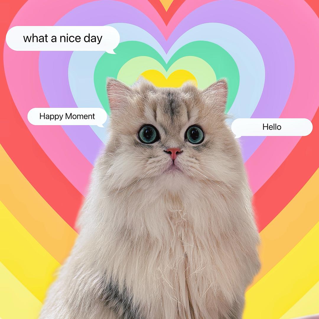 Yuki是只喵耶（好物亲测版🛒）