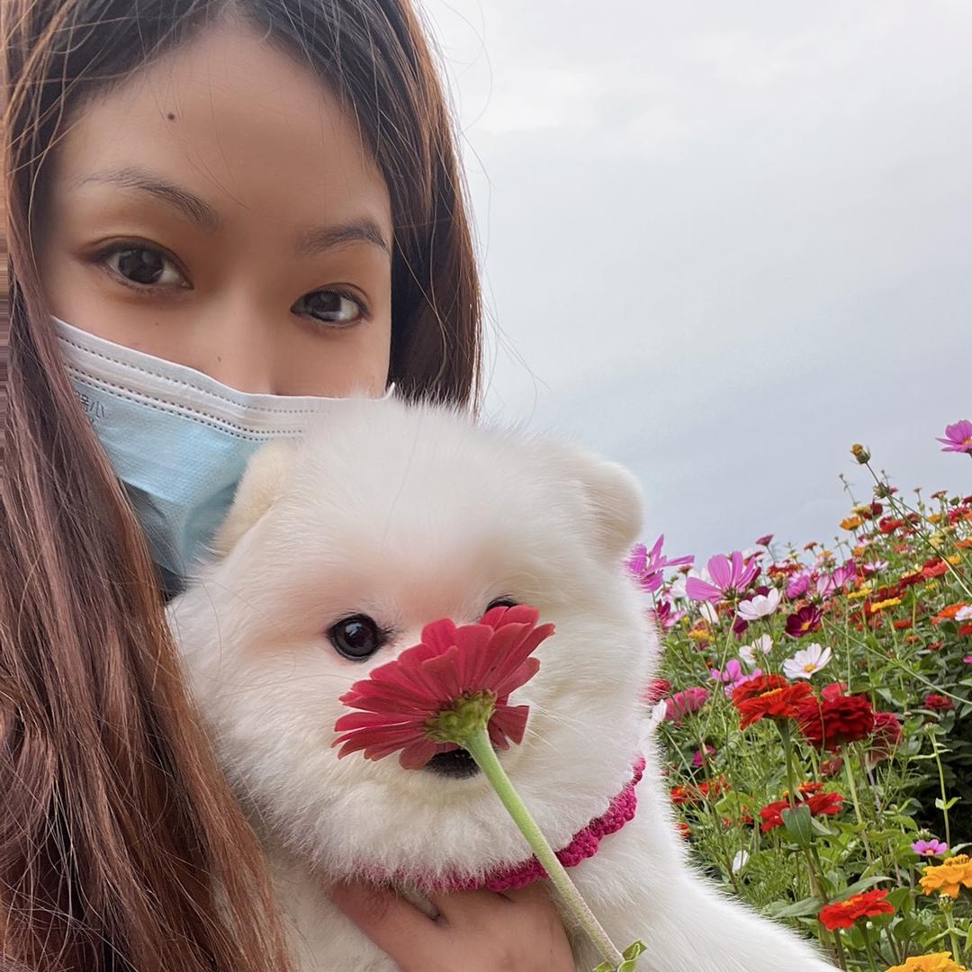 小核桃☘️