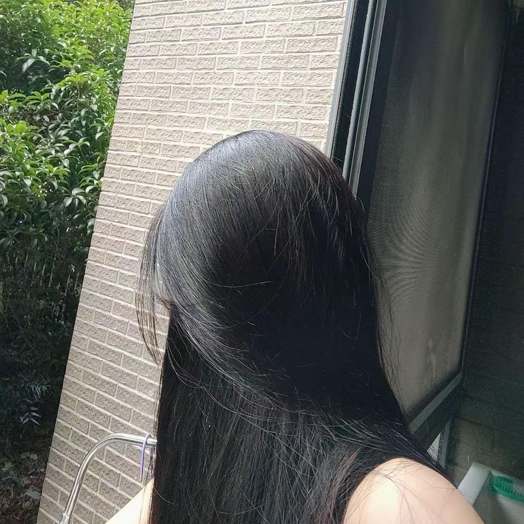 秋海棠