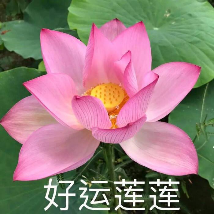 小宇同学