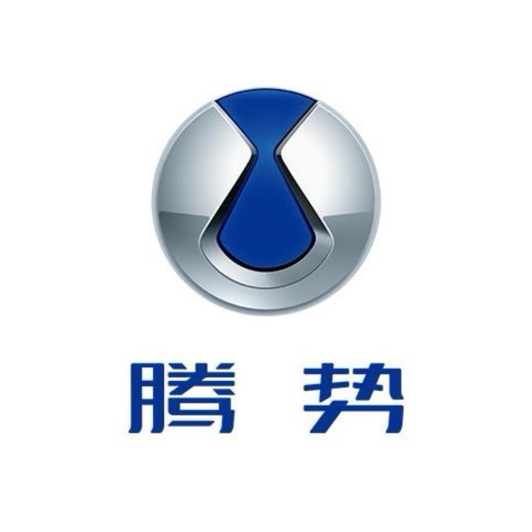 卖腾势的瑶瑶