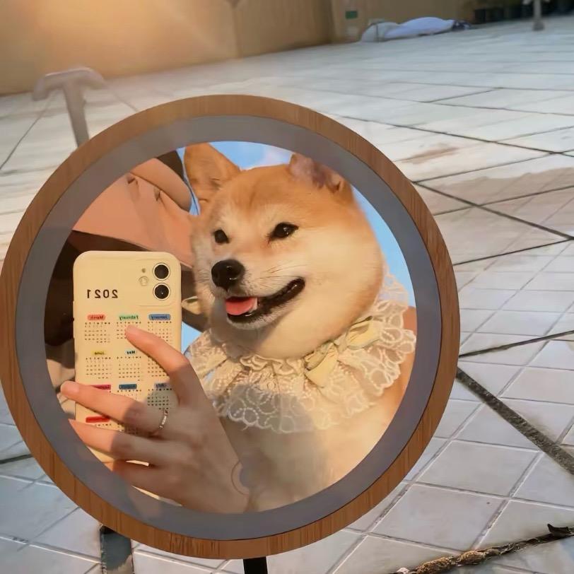 狗小户