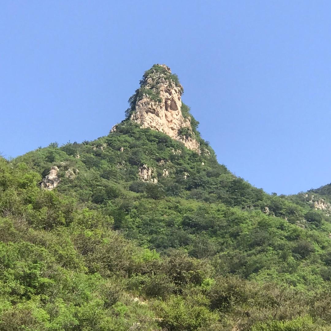 时光不老