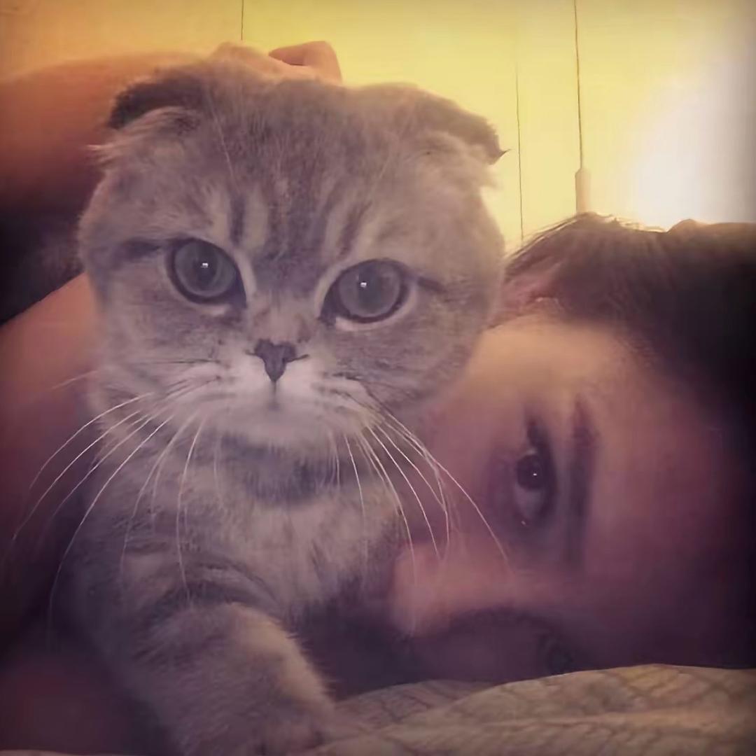 藜蒿炒腊肉好好吃