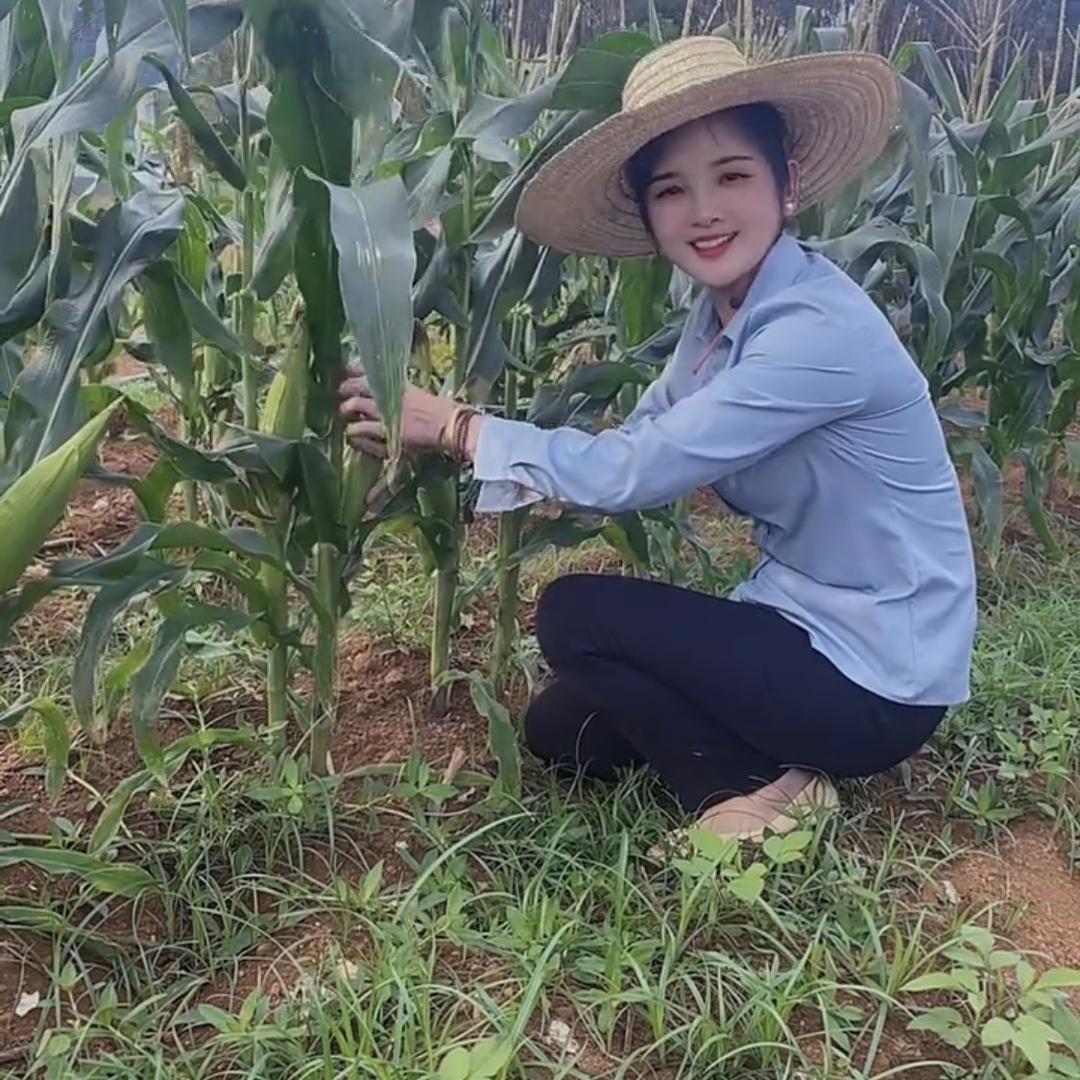 农村小花