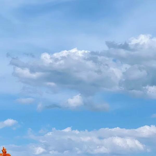 天旭