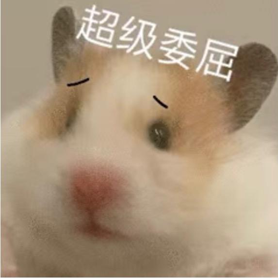 一只小本本