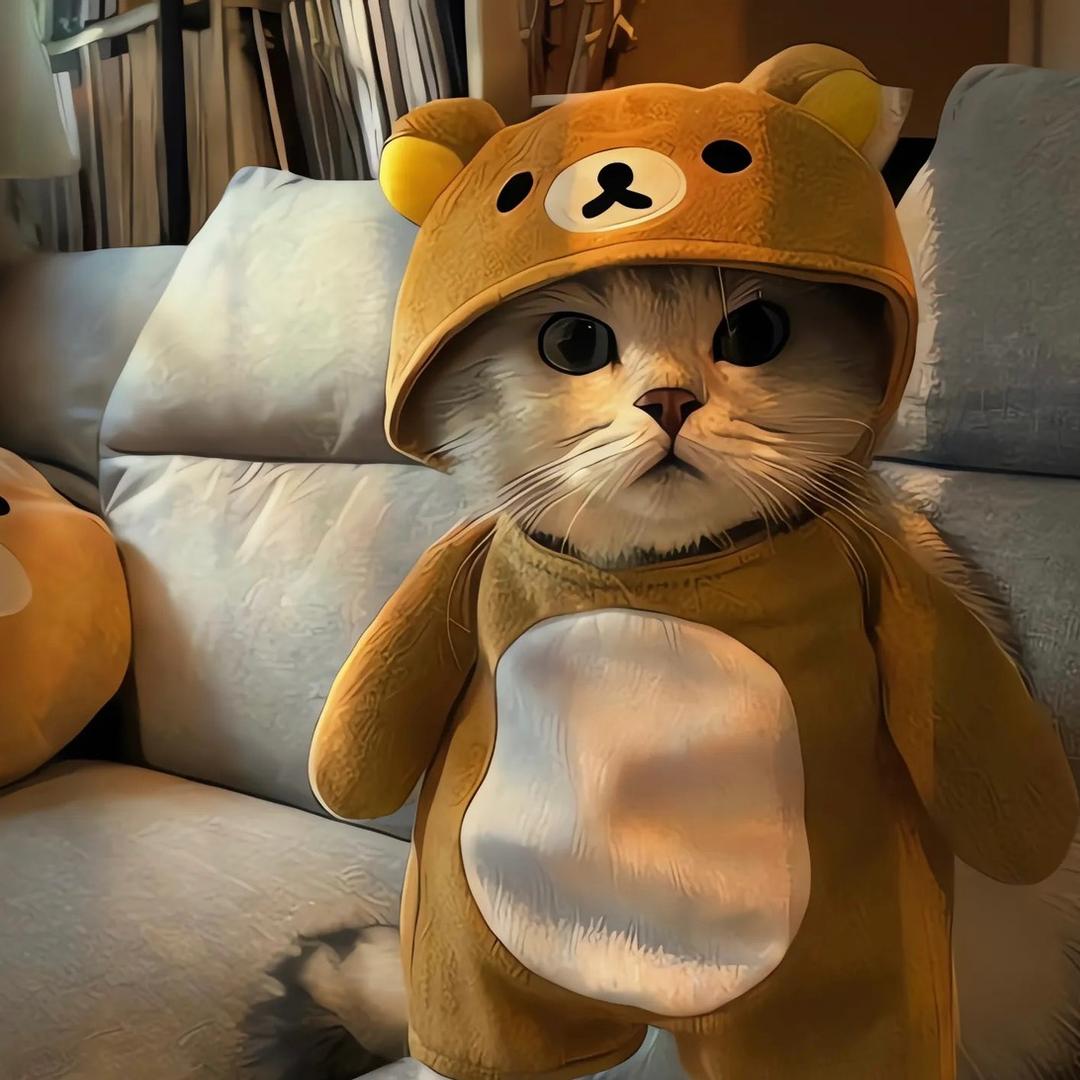 连腿毛都是帅的