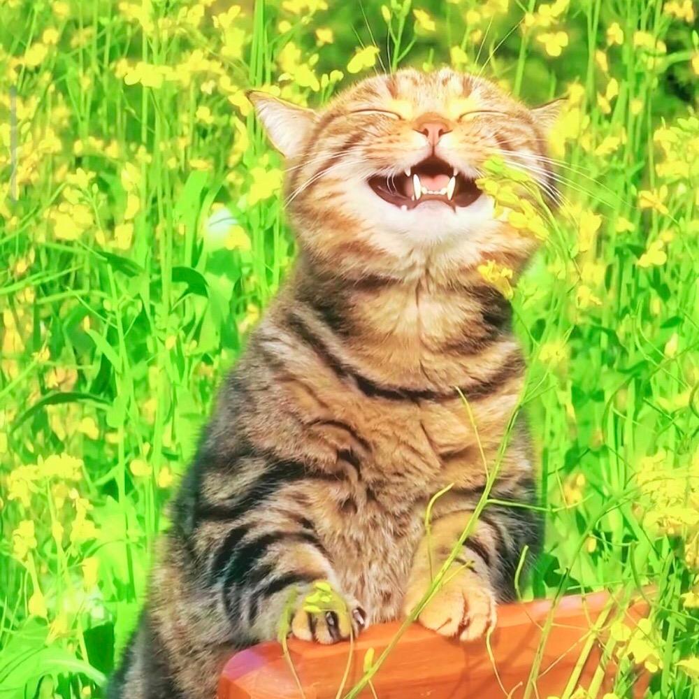 勿