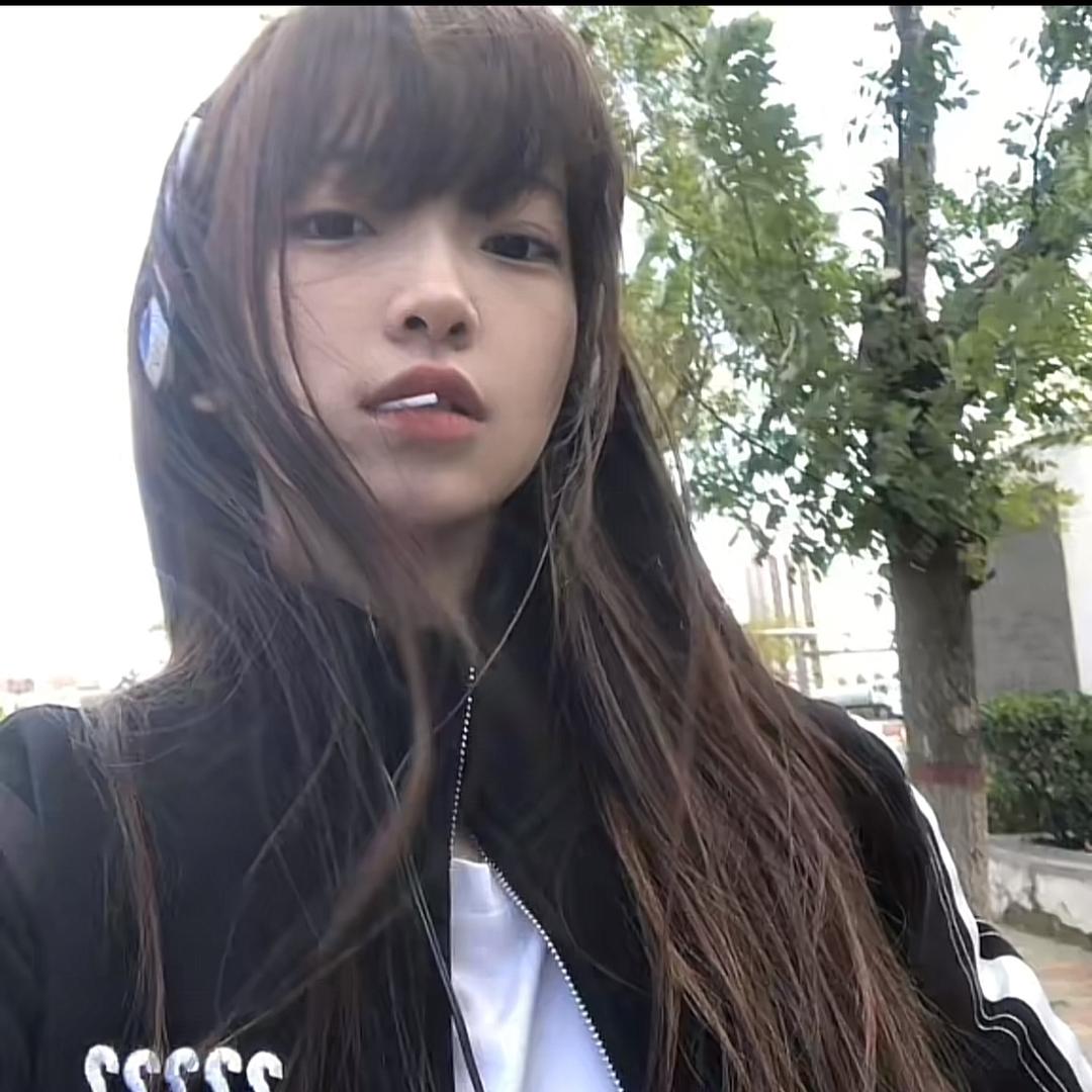 鹬子