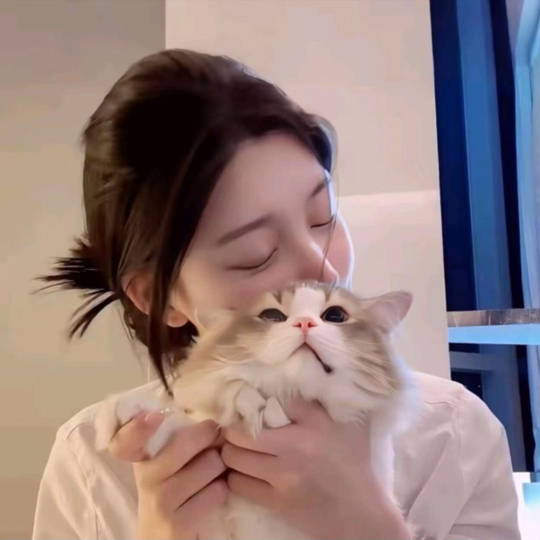 ally直播返场