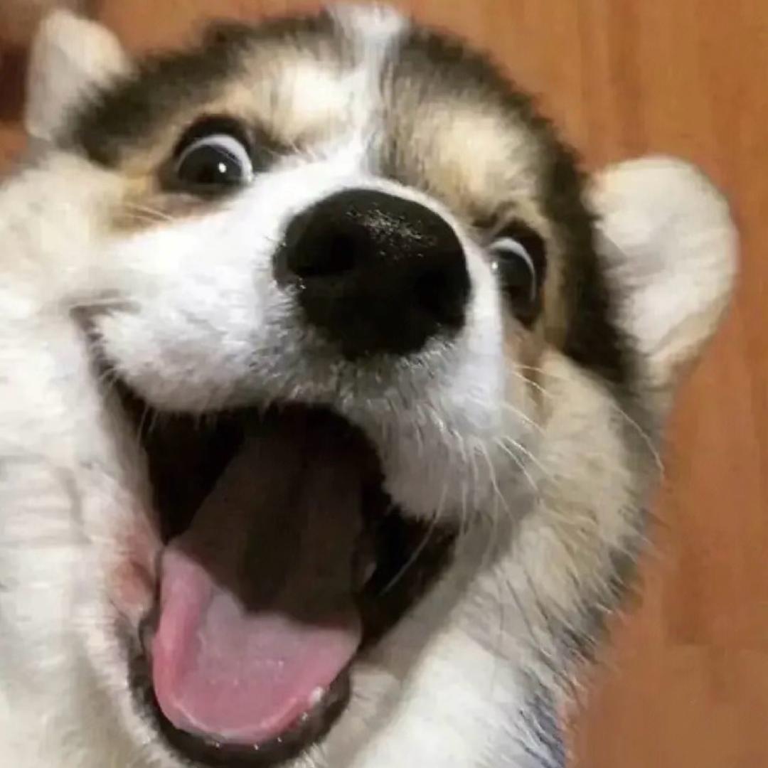 吴昌淇