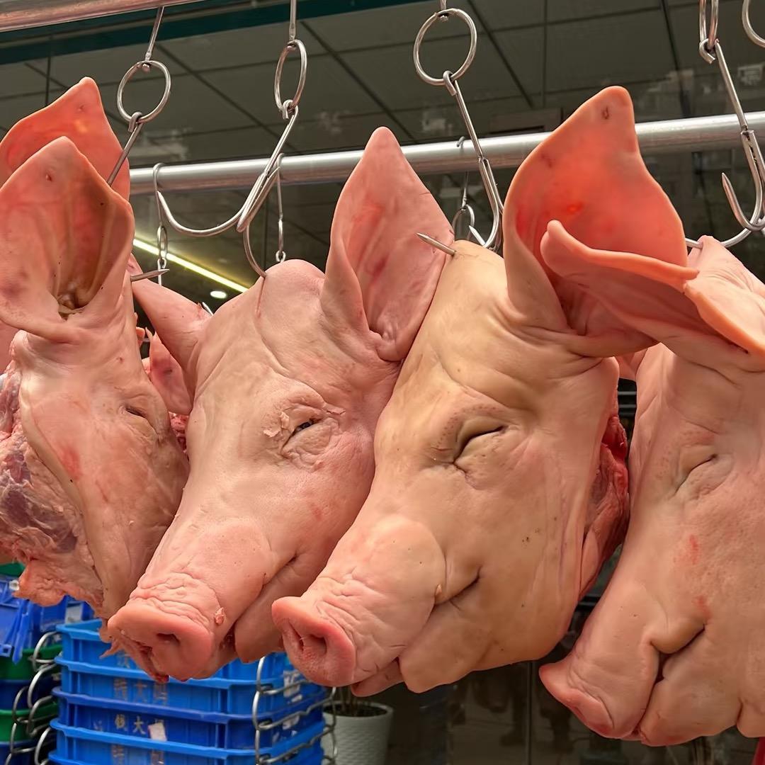 苏锡常生熟、去骨八成熟鲜猪头批发