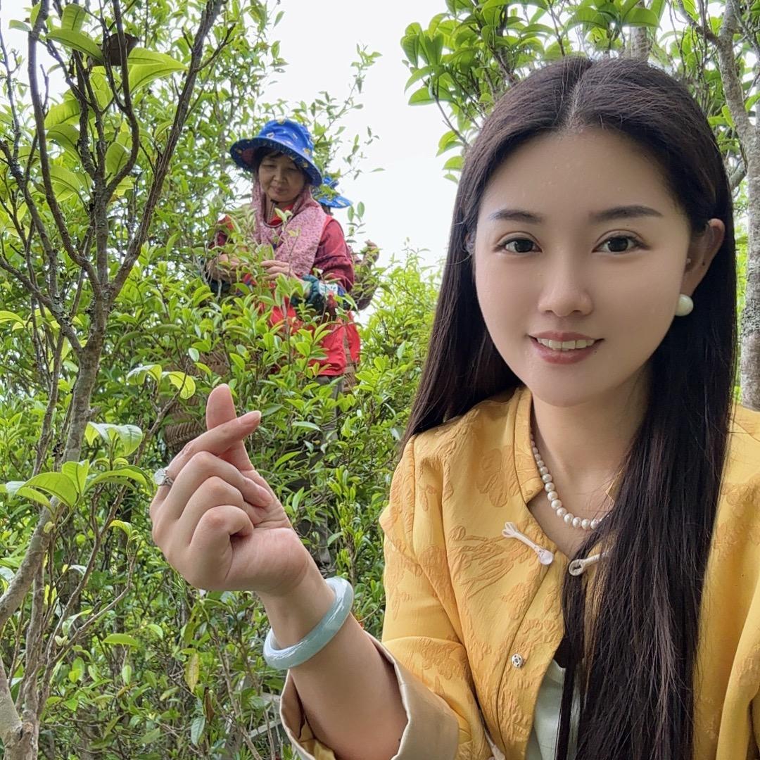 燕姐茶叶批发