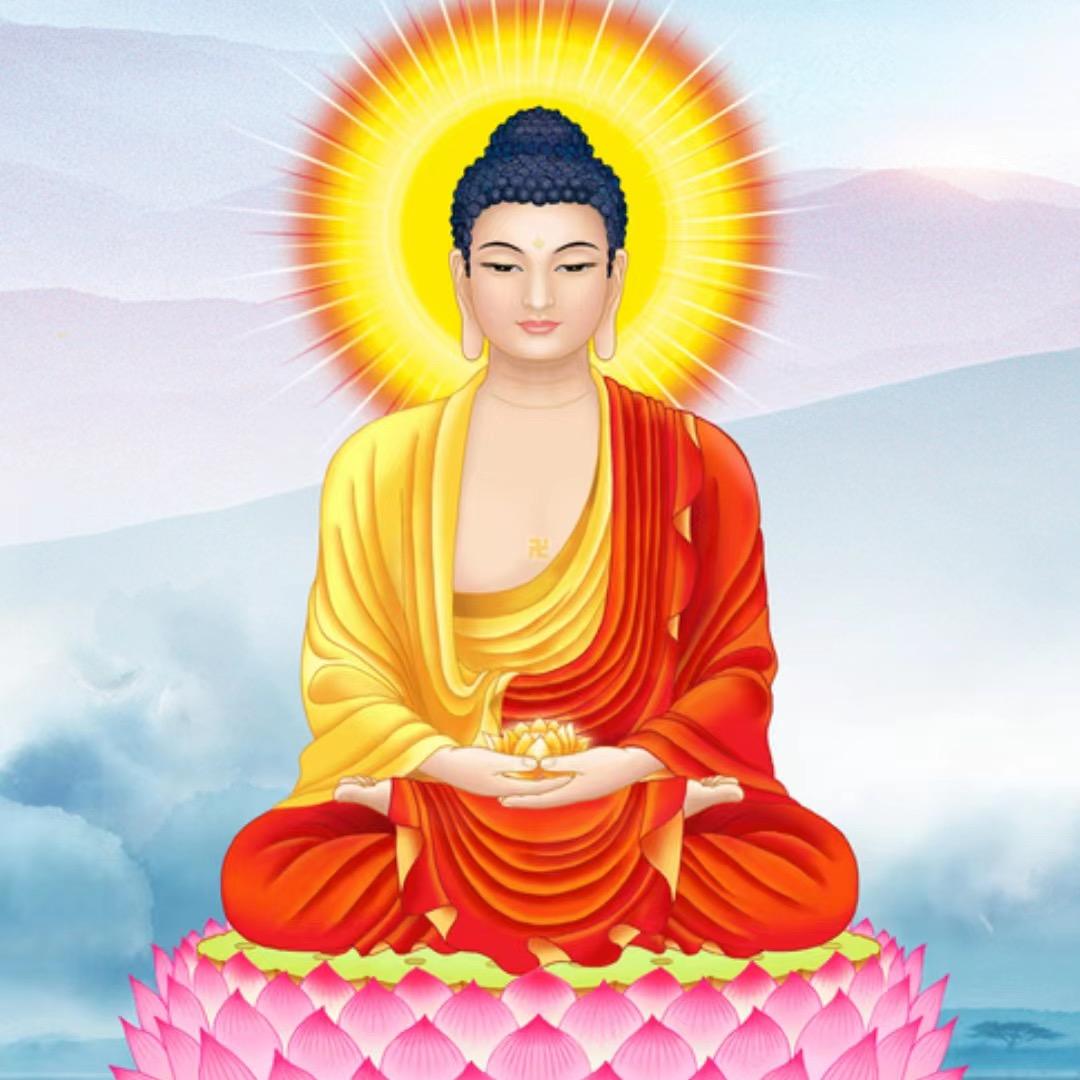 莲童说因果
