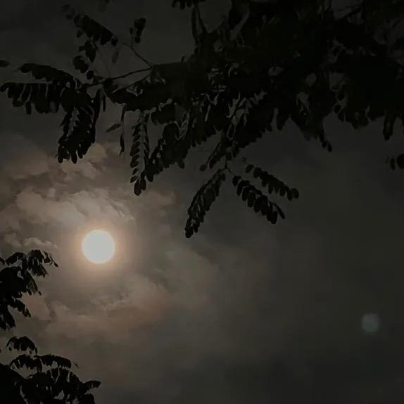 🌓