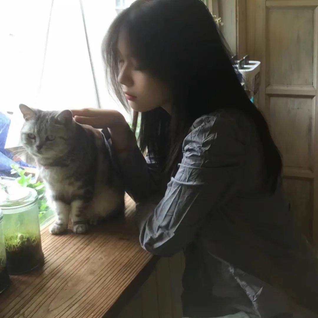 瑞士卷卷^