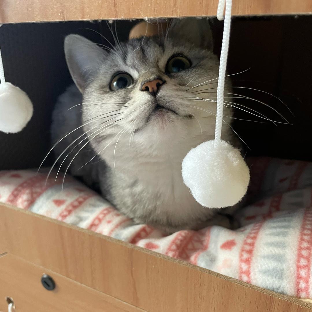 被数学再次打败了