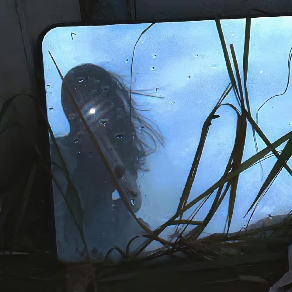 小鱼