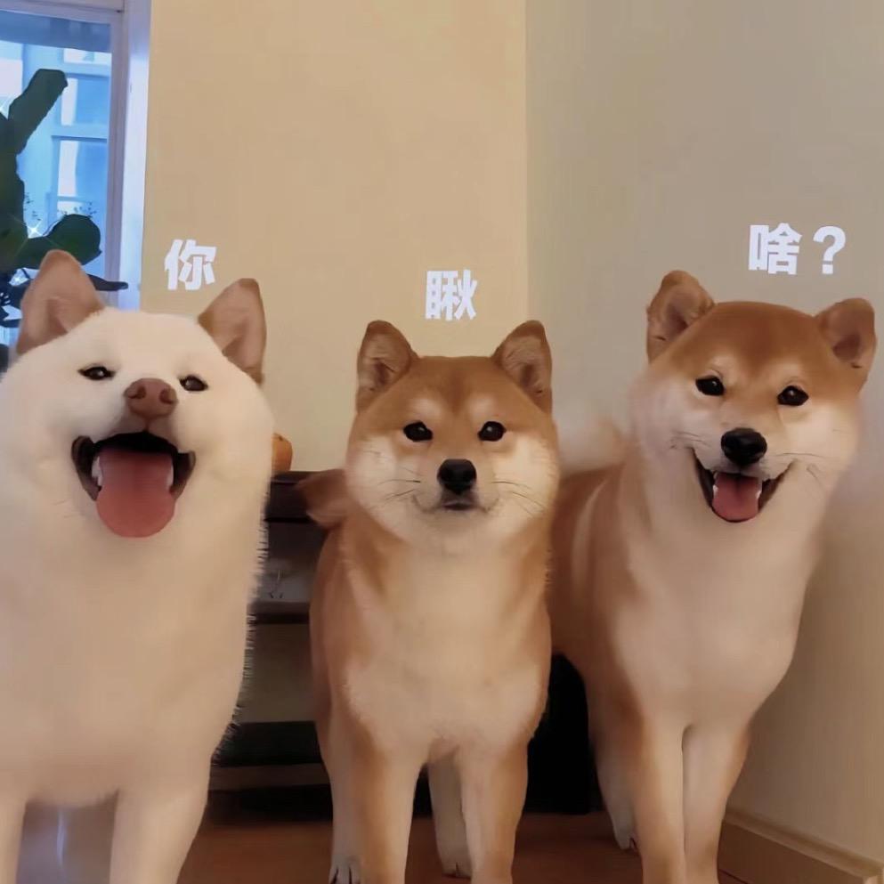 苏苏又胖了