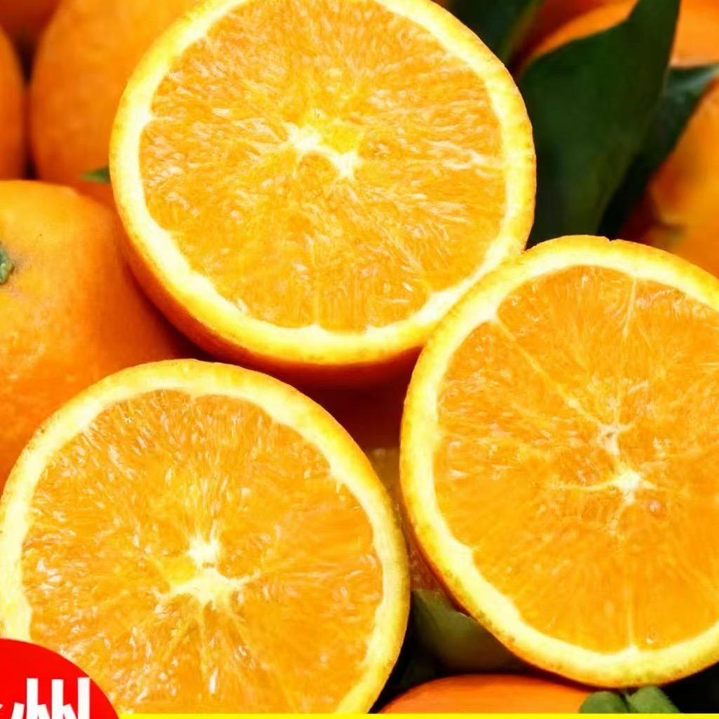 明日达赣南脐橙鲜