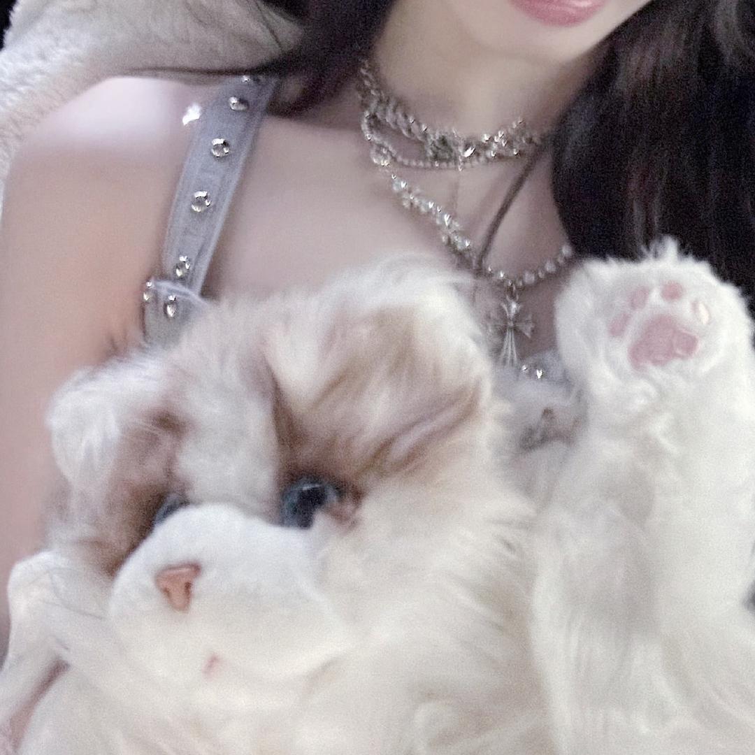 赛孝女