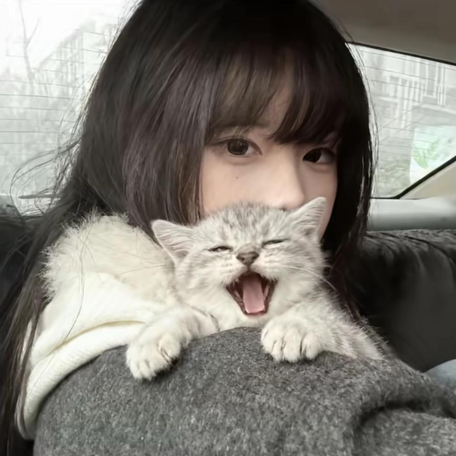 不开心就睡大觉💤