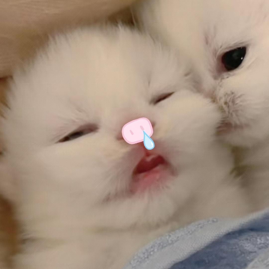 李柯亦