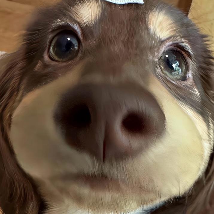 miaomiao