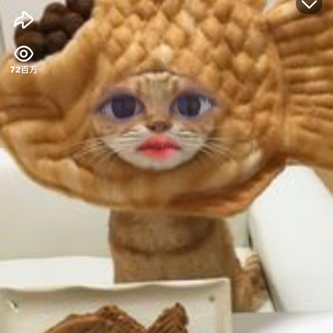 鲫猫饼