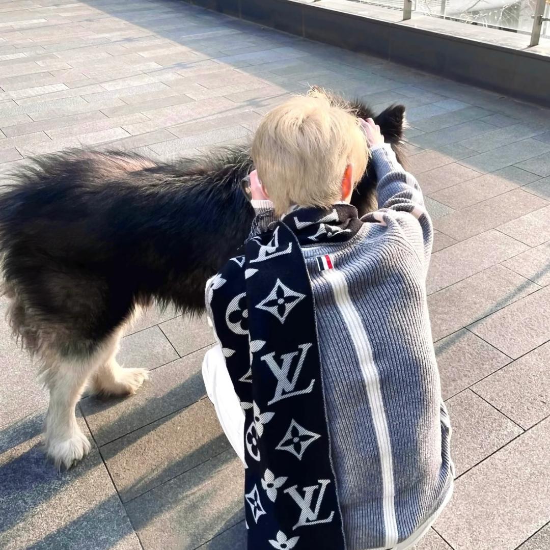 椰子