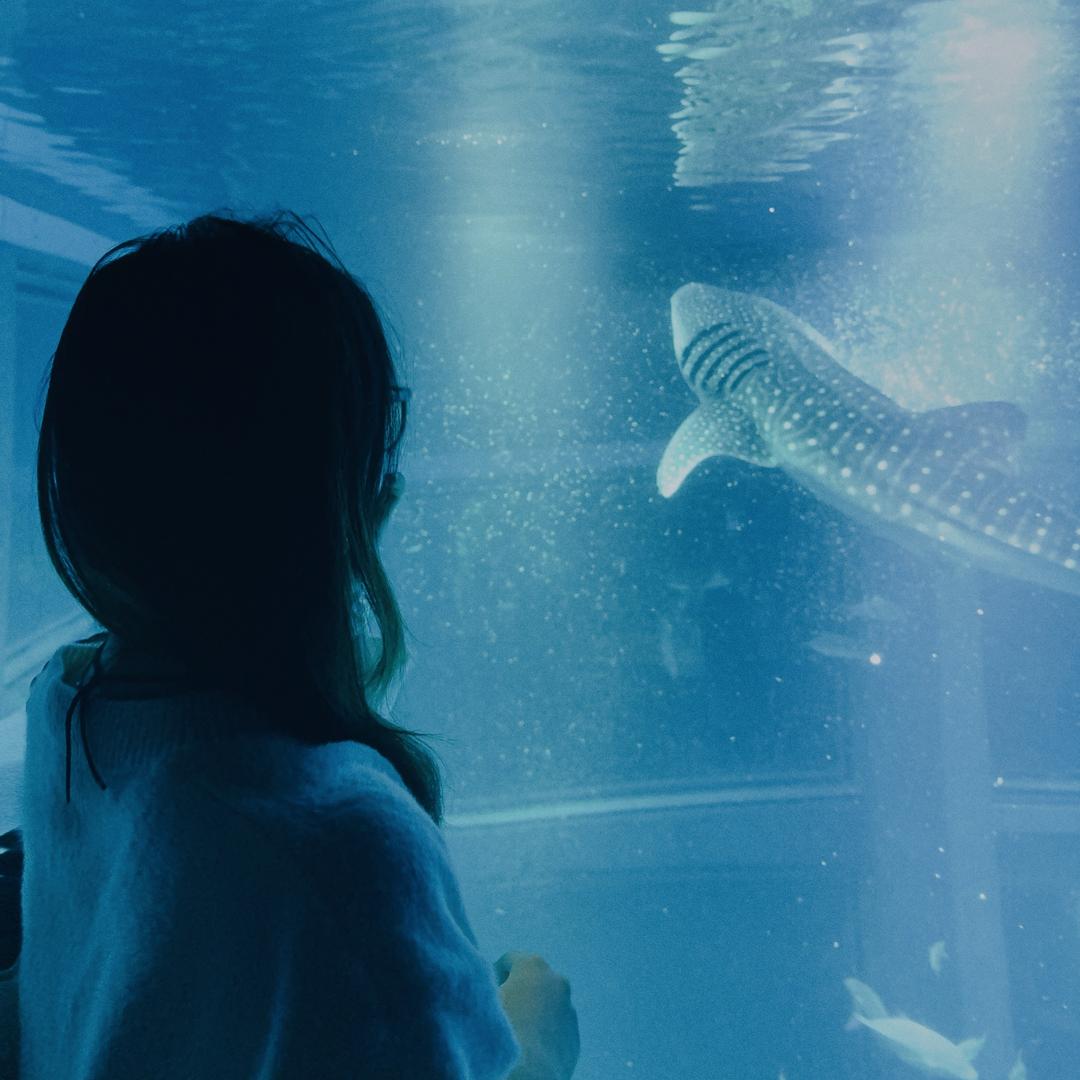 ·. ¹