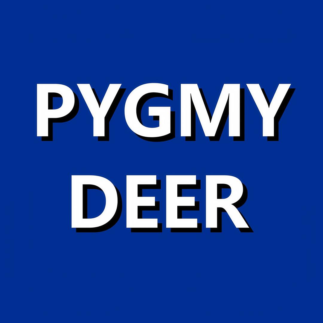 PYGMY DEER