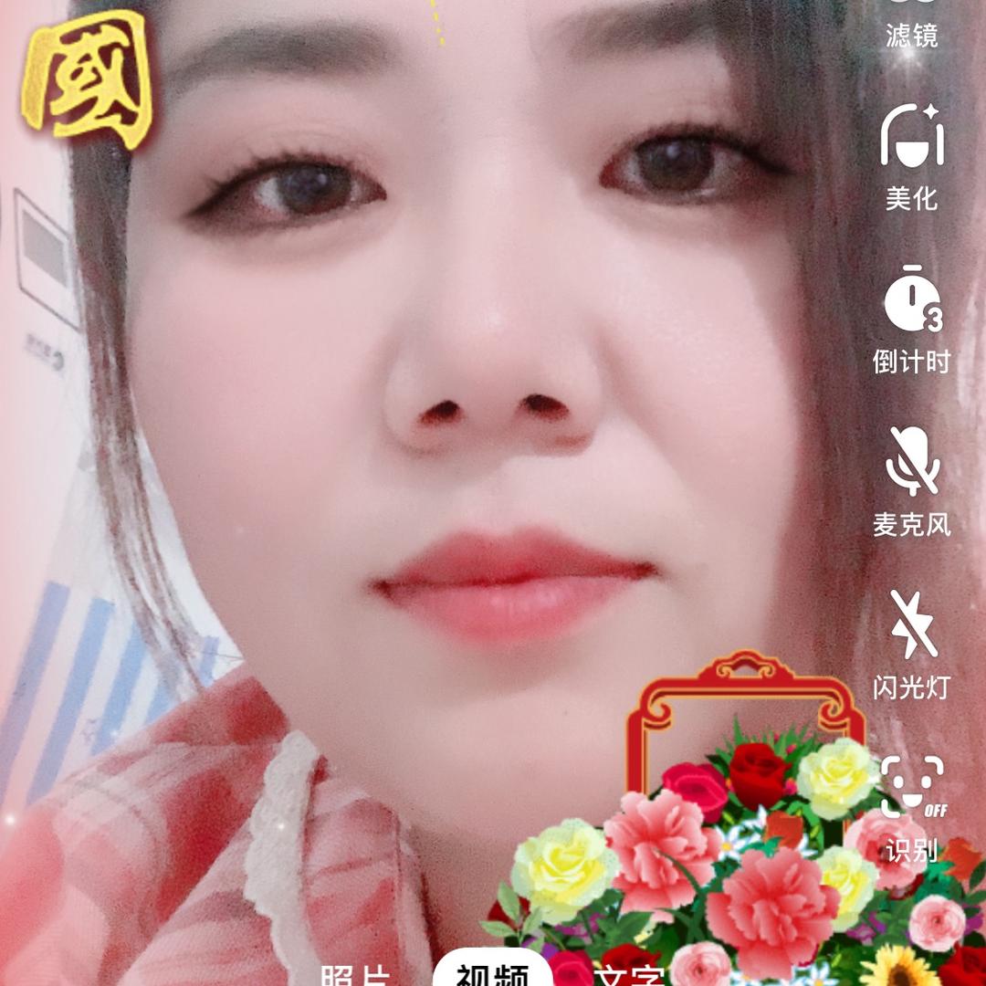 橄榄树