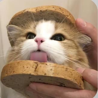 歪歪吃饱了（已读乱回版）