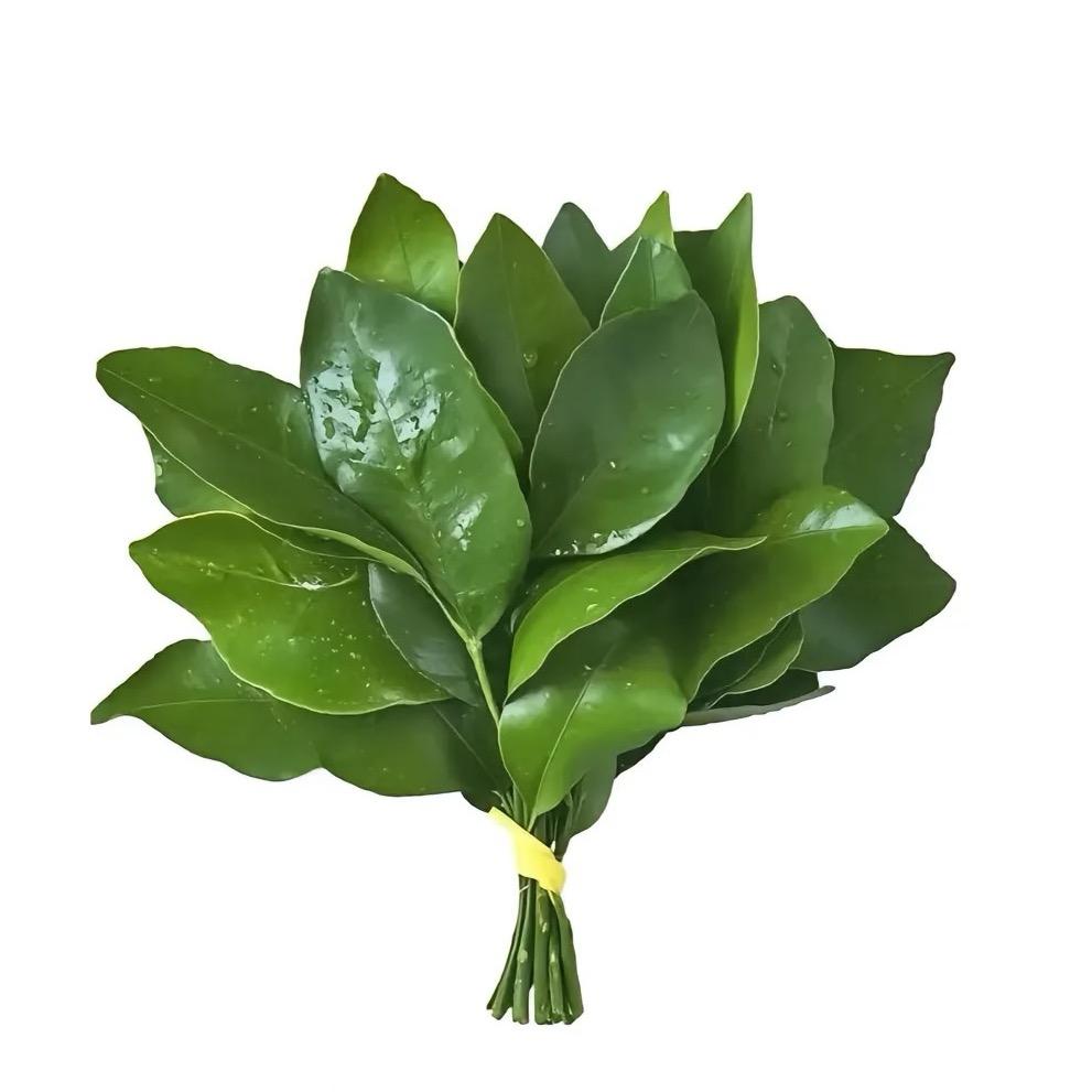 不吃煎蛋
