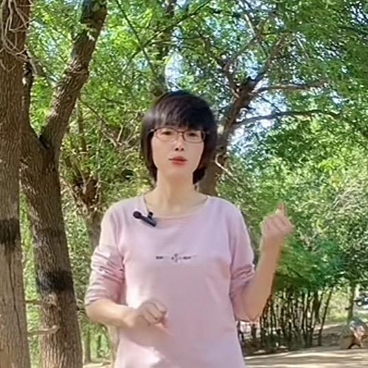 晨芳