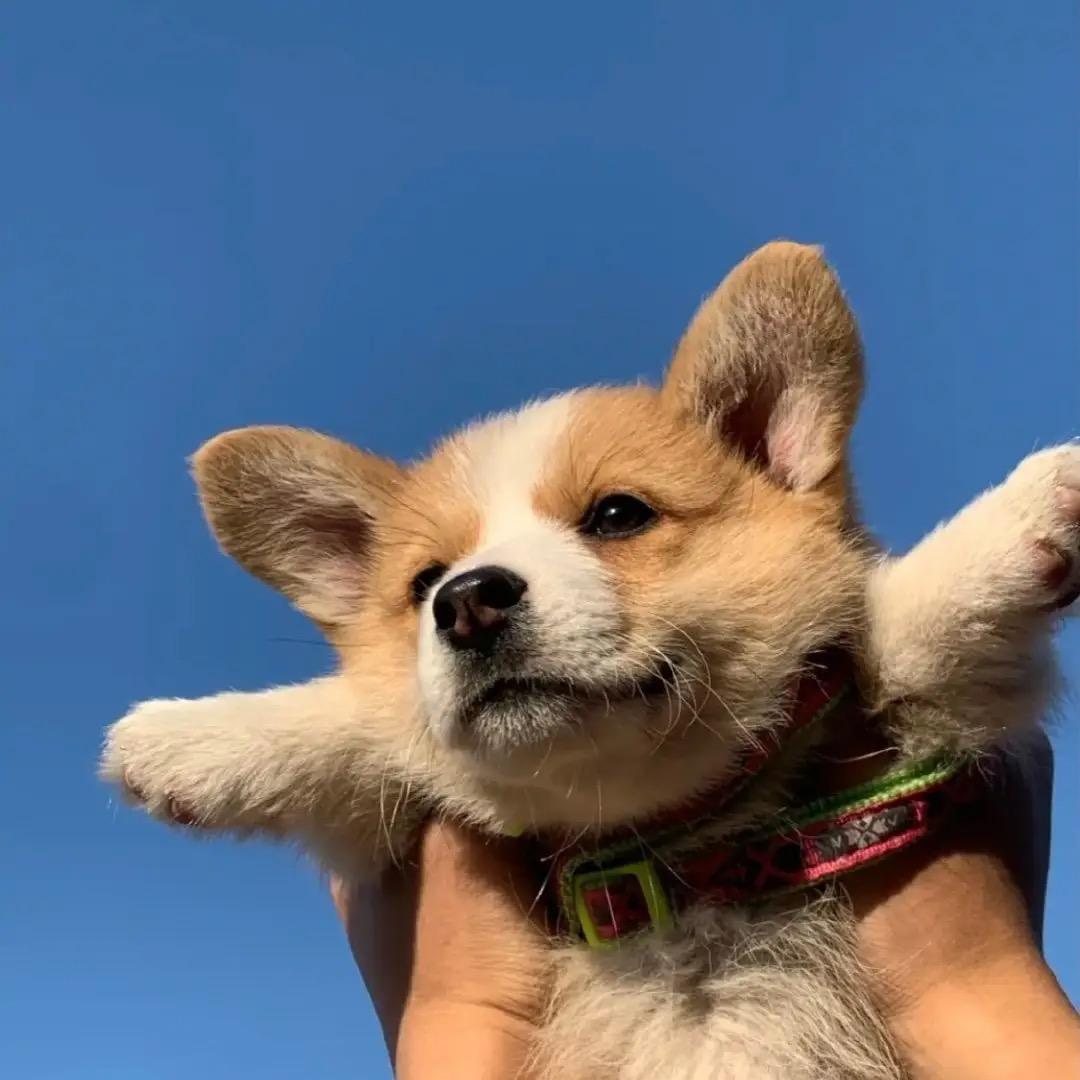 边儿去丶别挡道