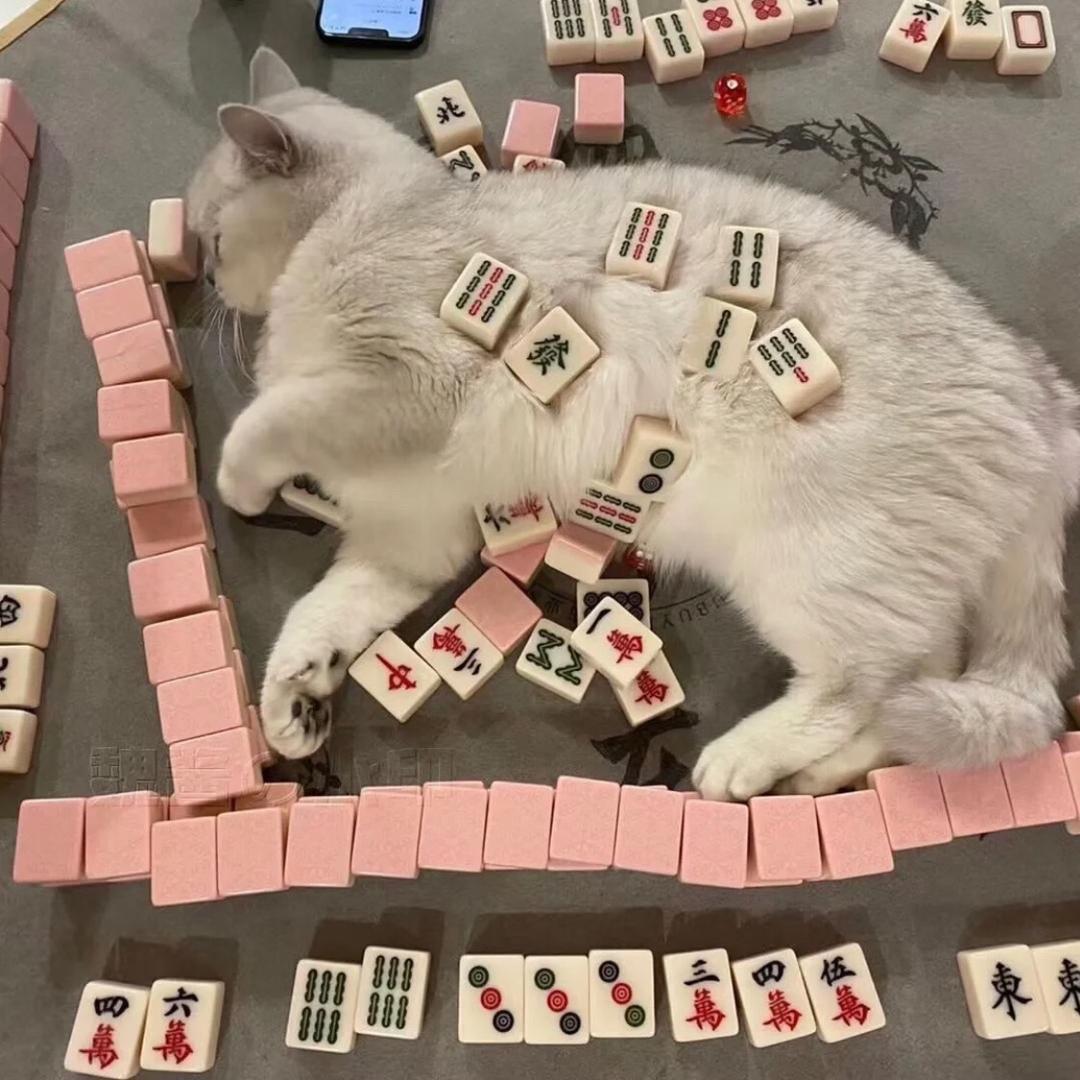灰灰