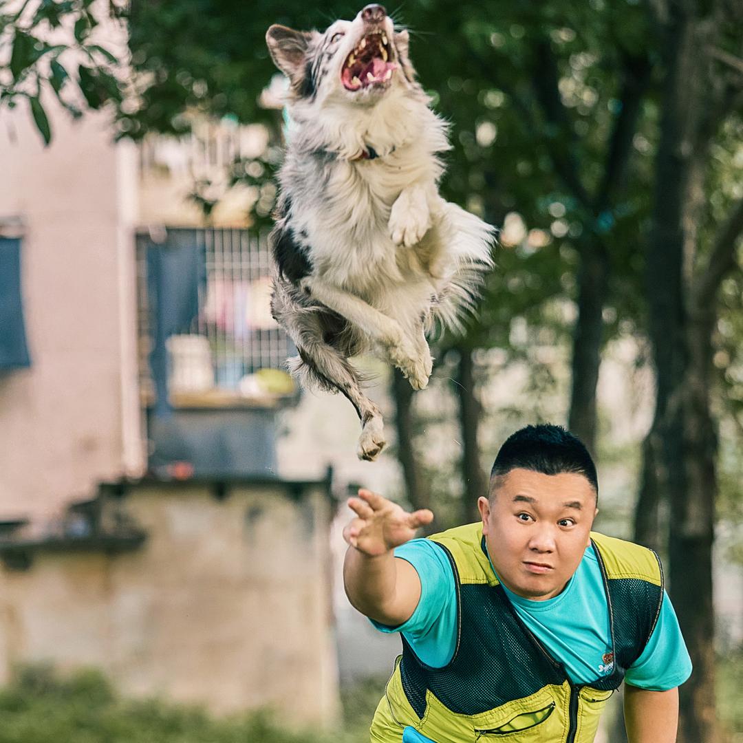 宠物达人金小胖