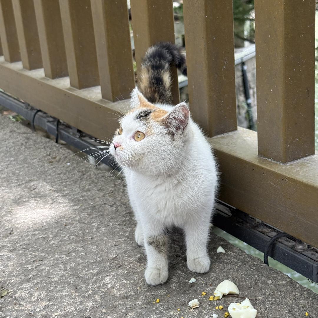 浙江广电湖州华数