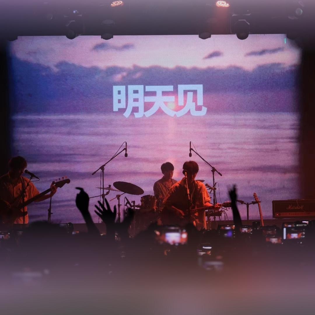 树先生Live@抖音