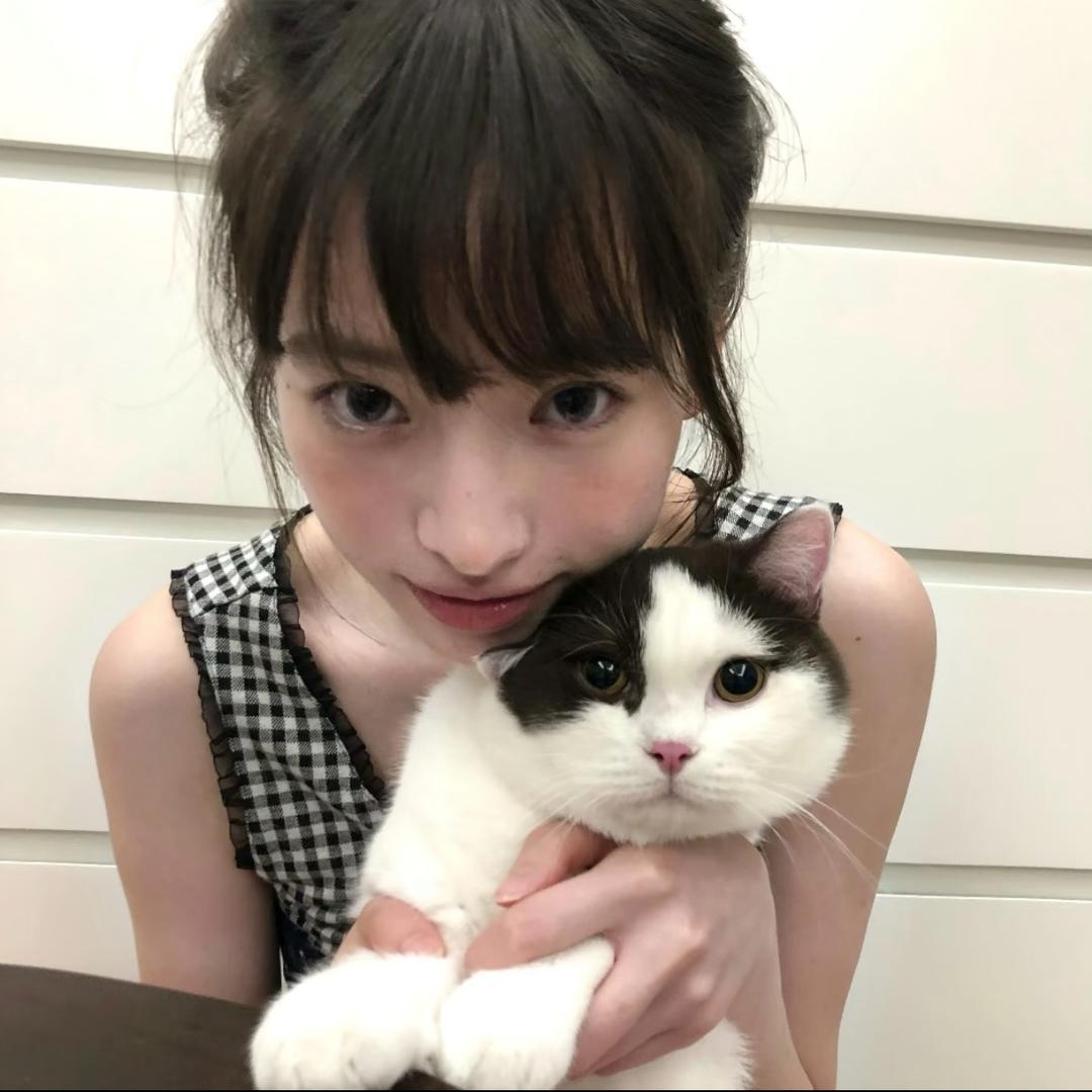 Junkitten🐈