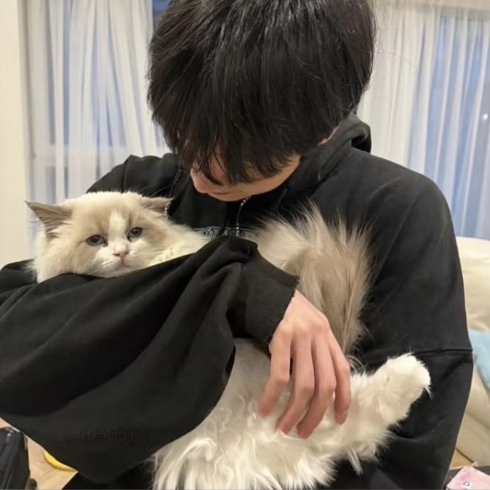 苏璞