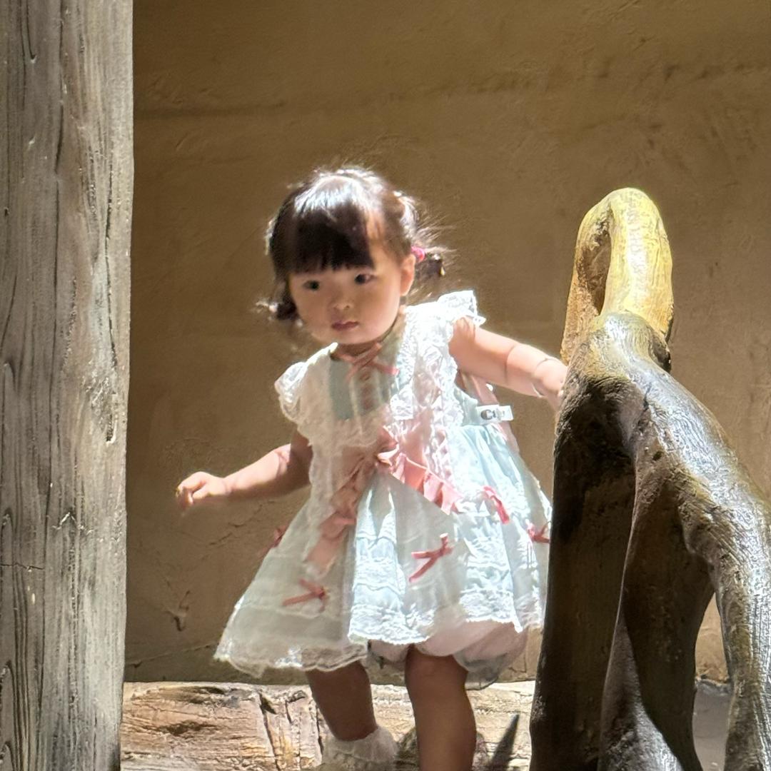 小鹅🪿～