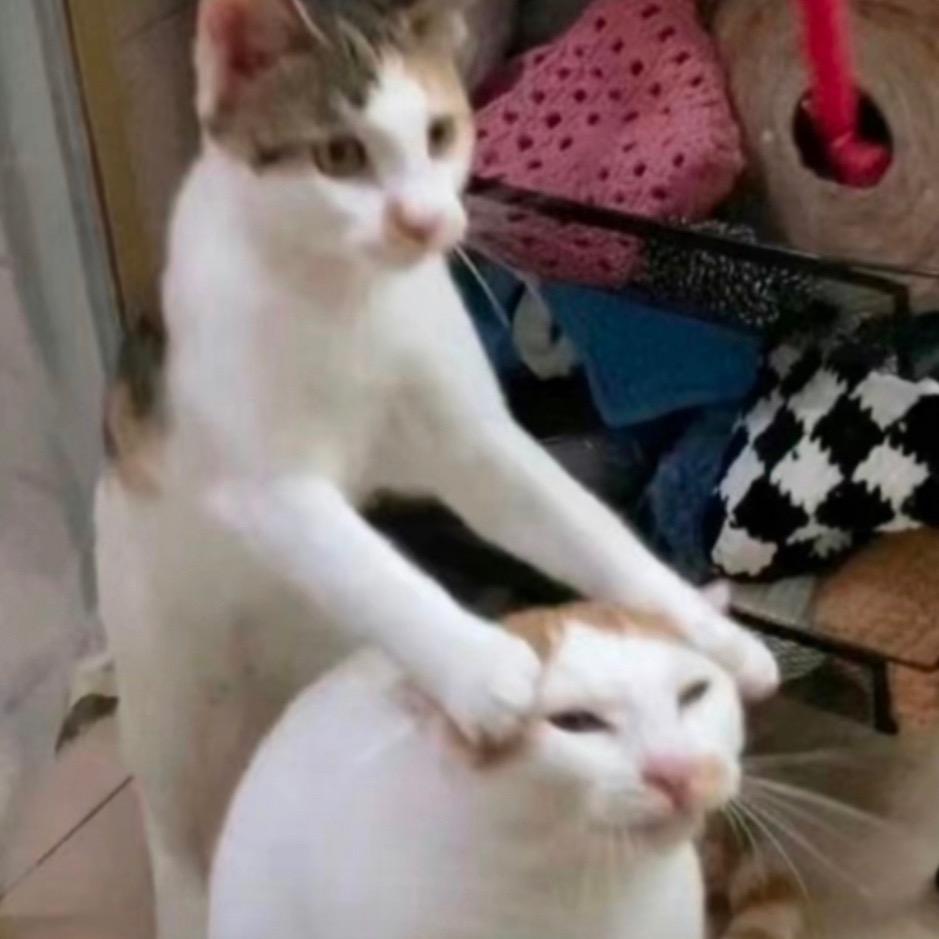 不吃辣椒.