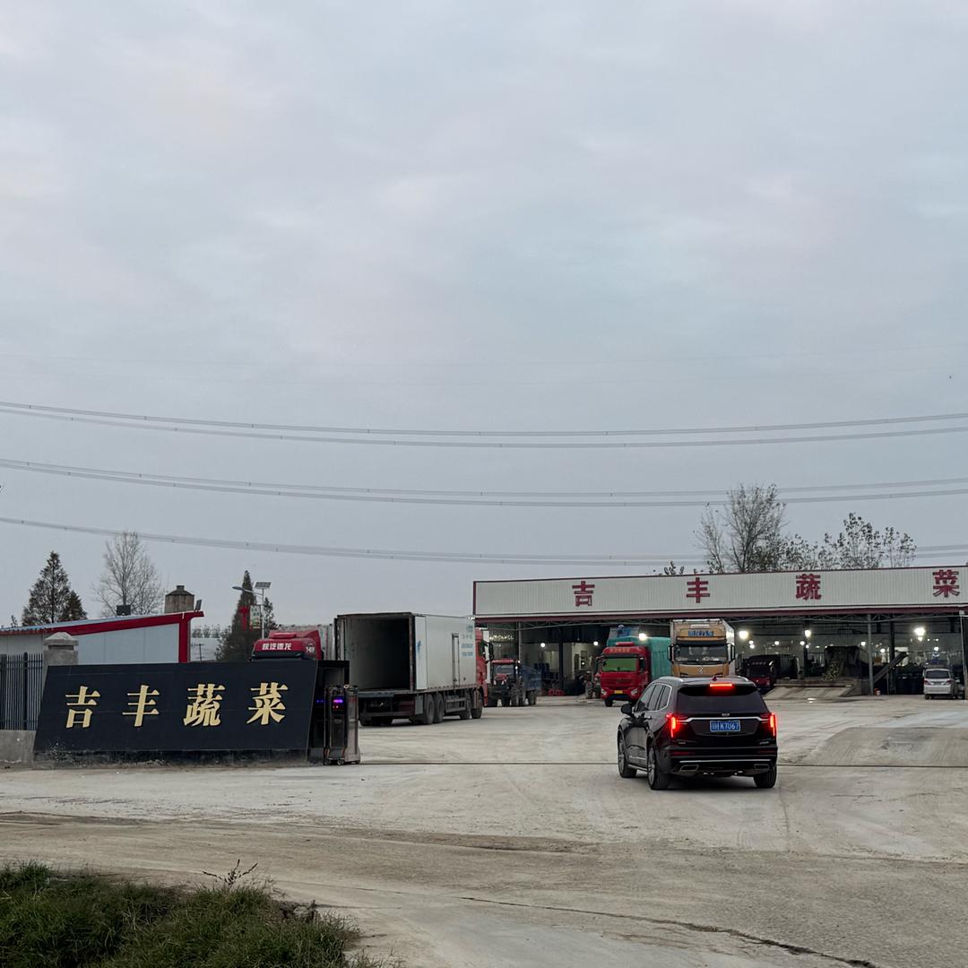 吉丰合作社  贺兵