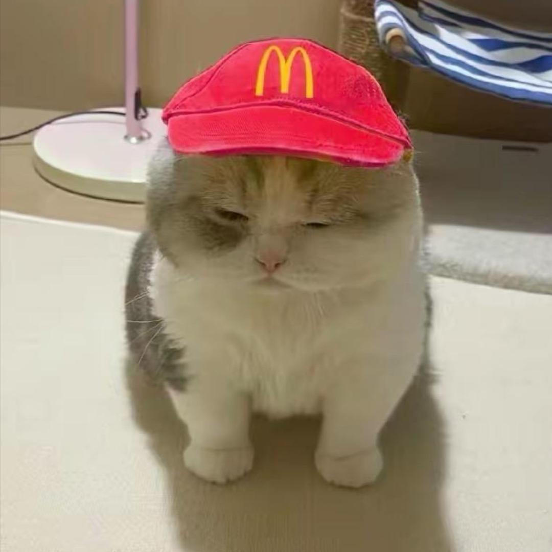 睡醒还是困