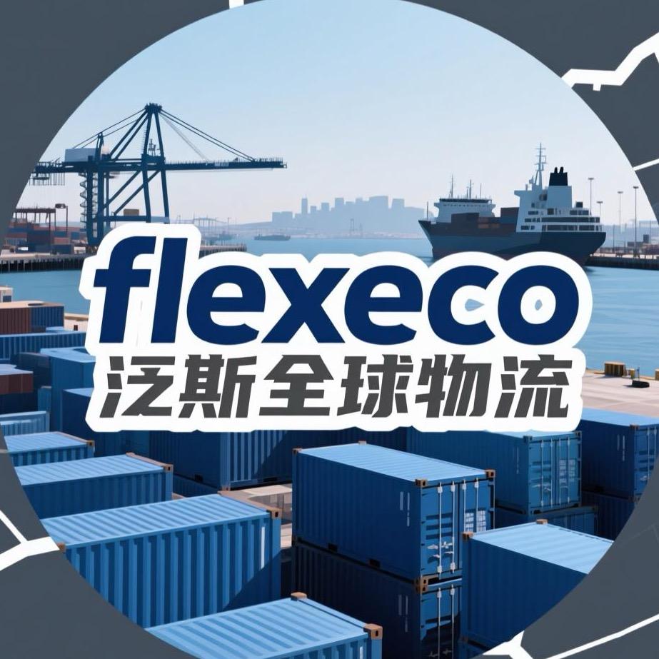 泛斯全球物流🌍 大飞