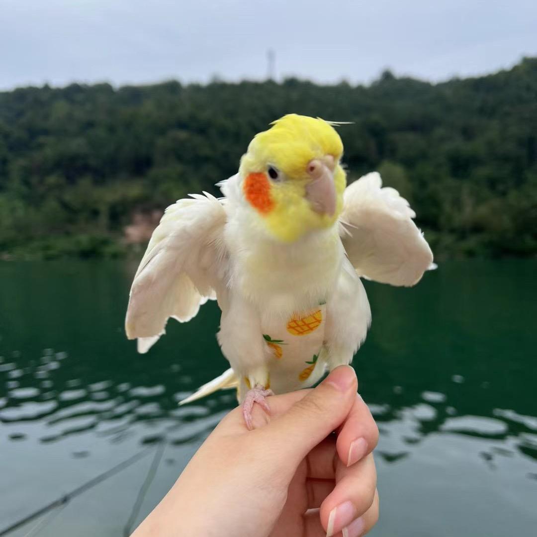 是小仙女呀🌈🌈🌈❤